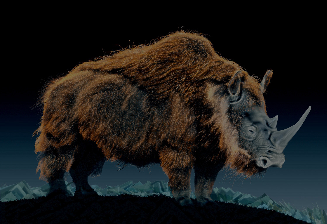 woolly-rhino2.jpg