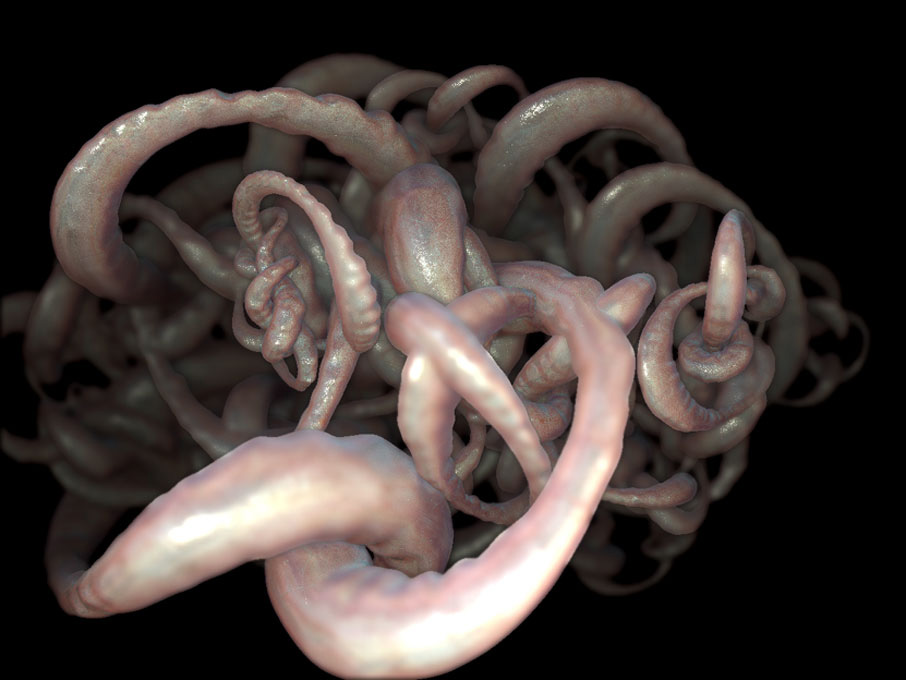 alien-guts01.jpg