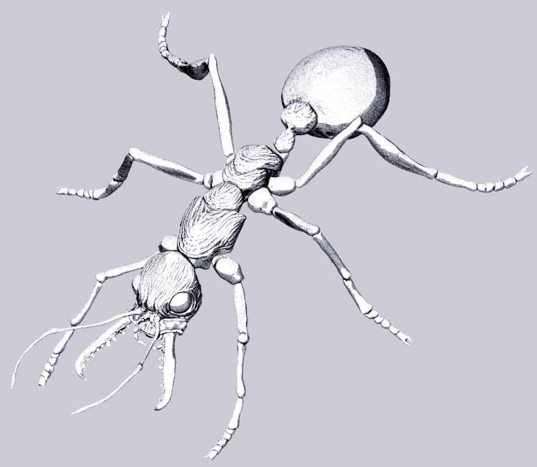 BDantRender.jpg