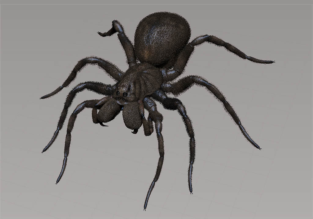 wolfSpider_screenGrab01.jpg