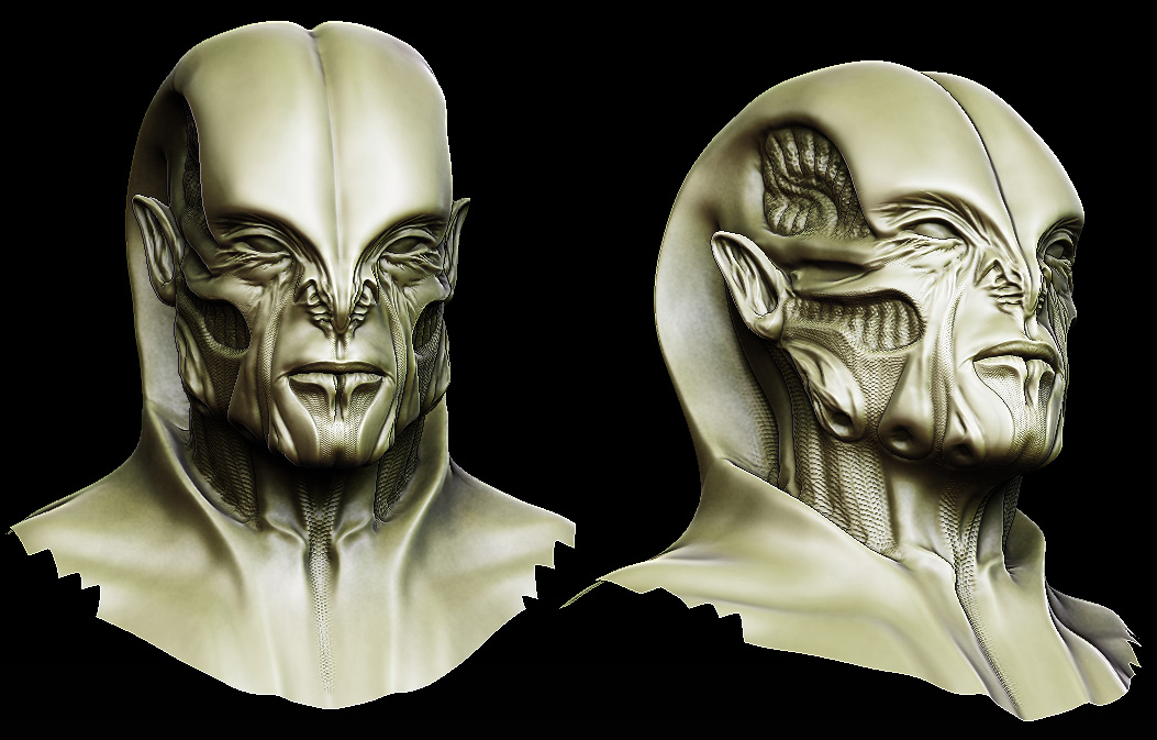 facesculp1.jpg