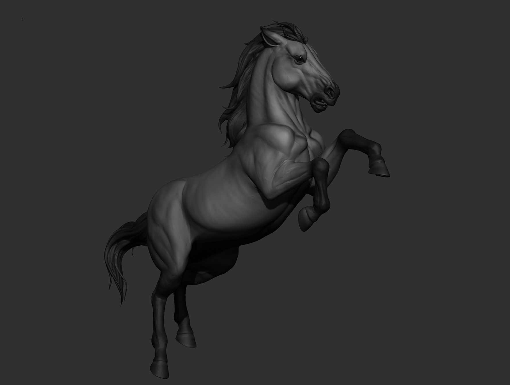 horse01.jpg