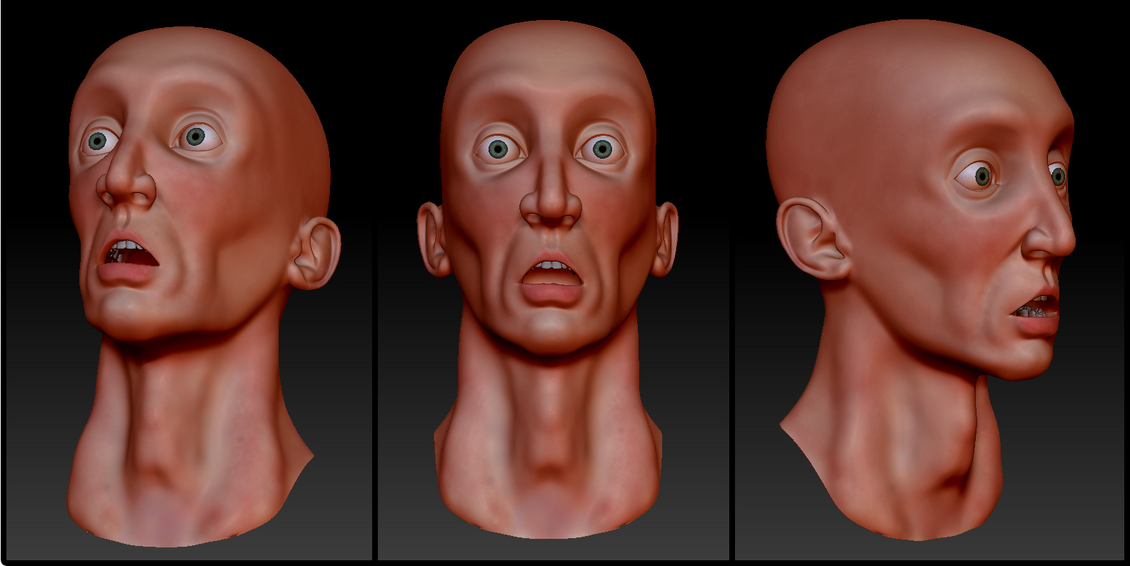 VicMultiAngleExpression.jpg