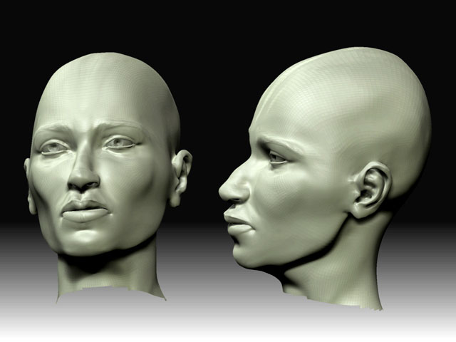 completewomanhead.jpg