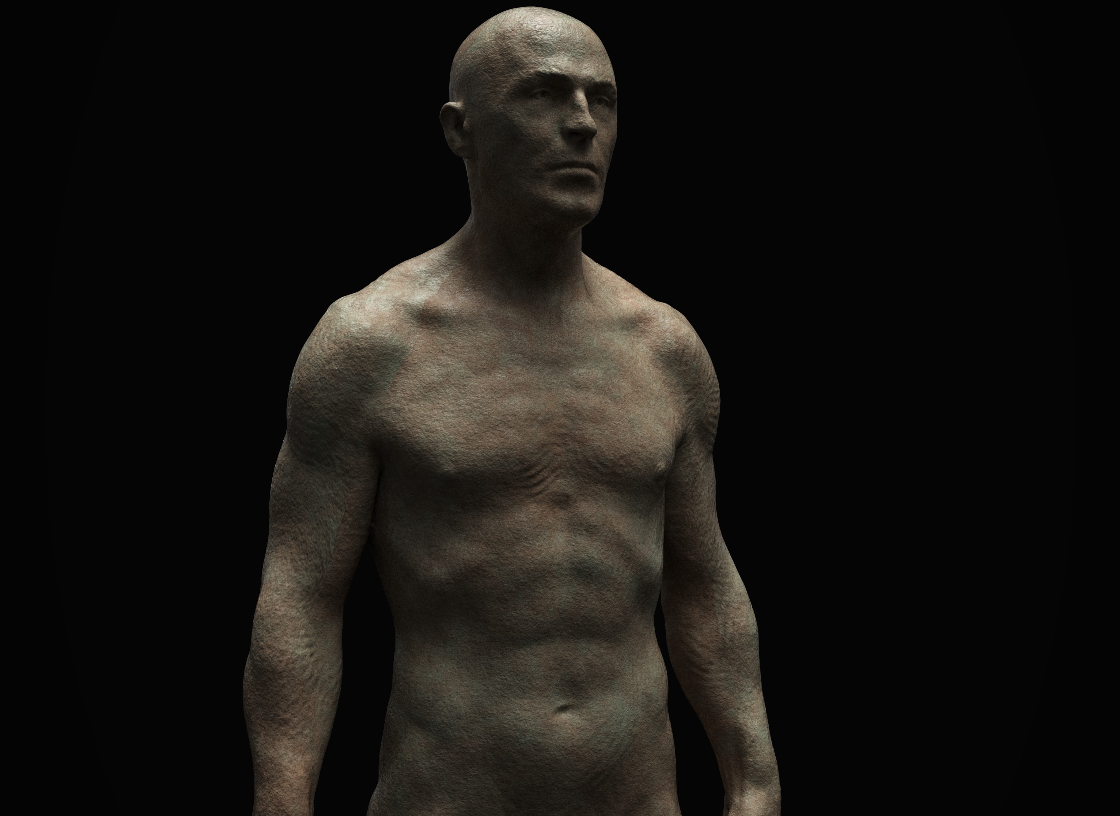 Anatomy5.jpg