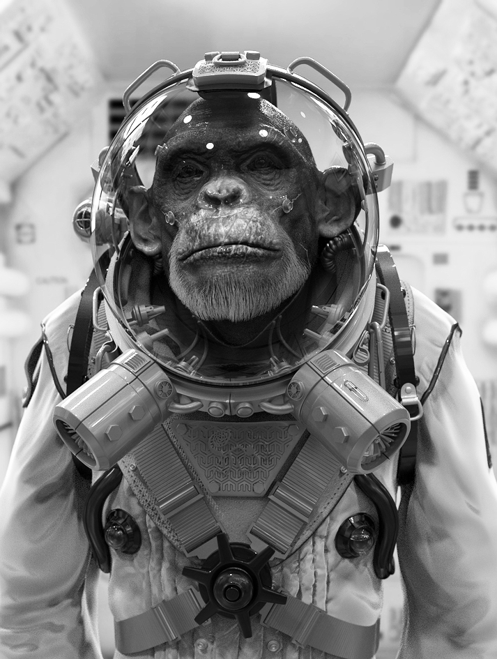 ape 014.jpg