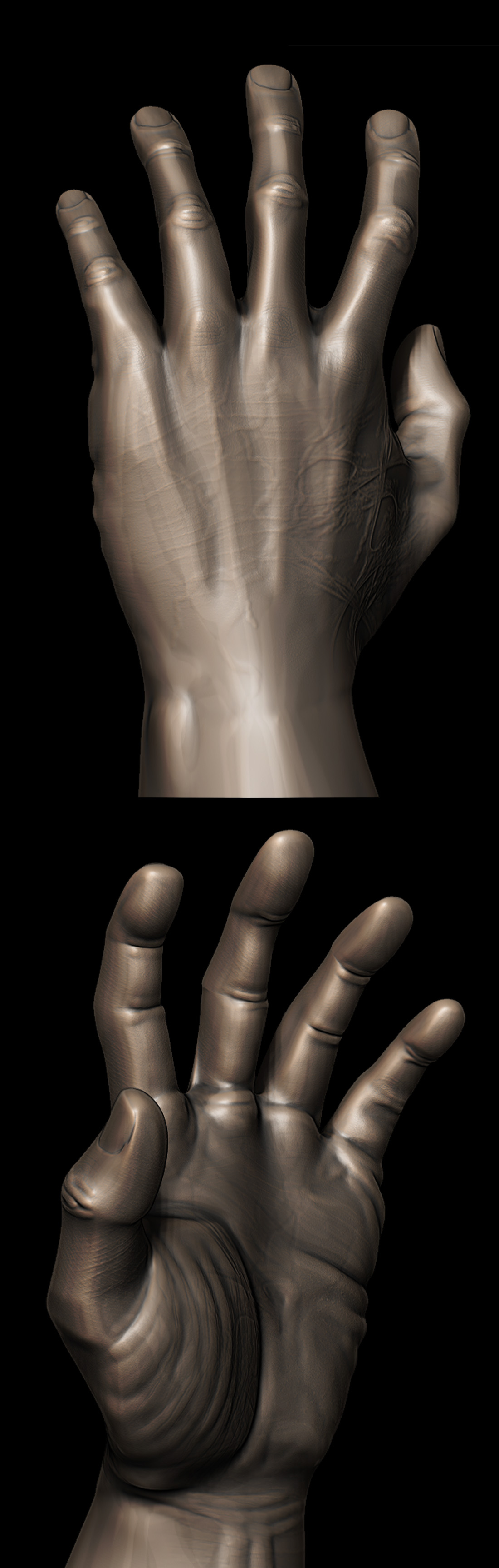 hand.jpg