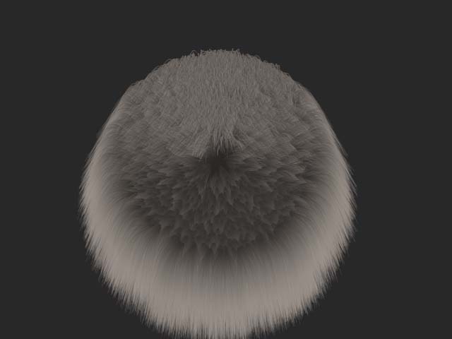 HAIRYS~1.jpg