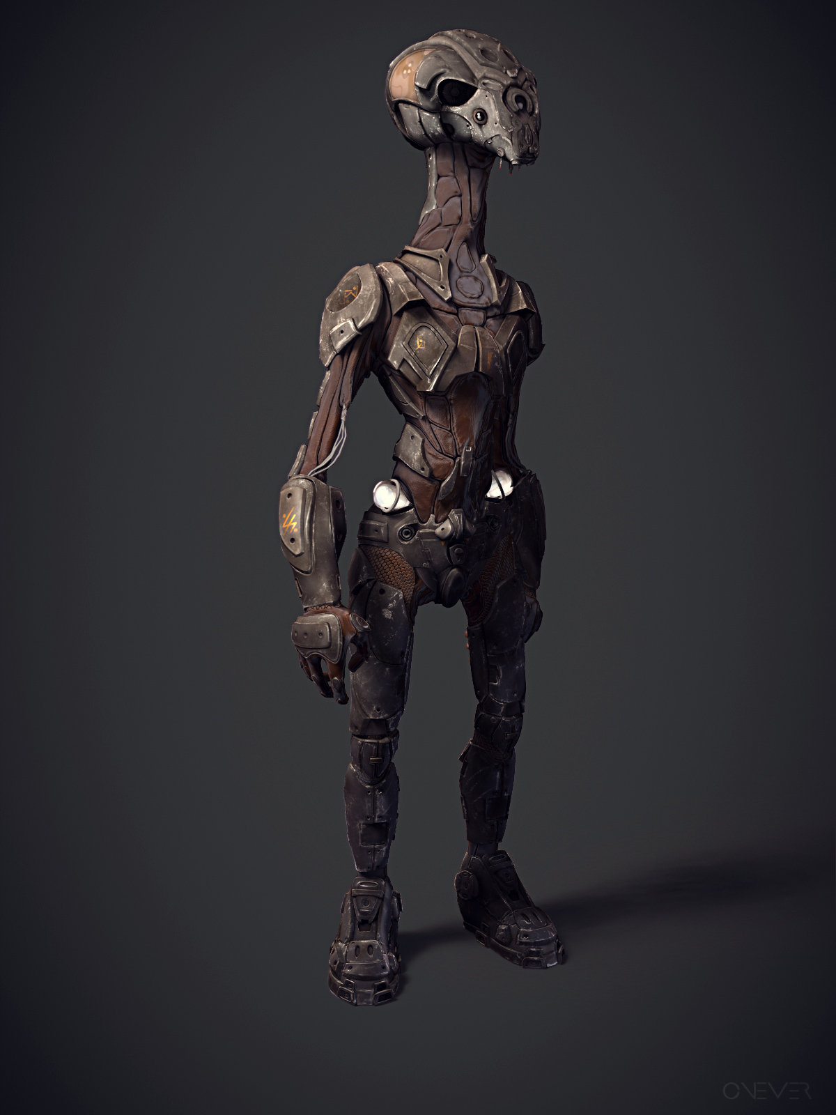 front_2.jpg
