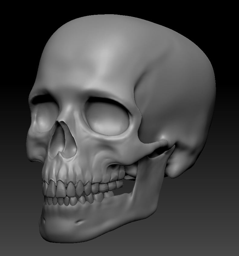 skull_V002.JPG