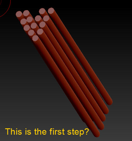 First step.jpg