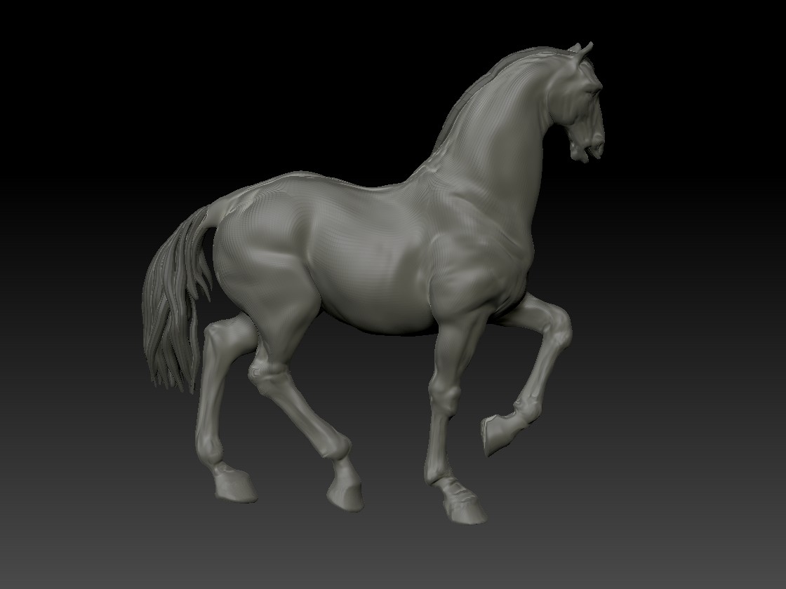 cheval23.jpg