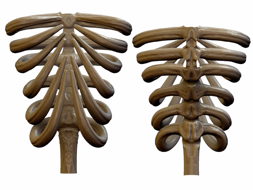ZBrush Document2.jpg