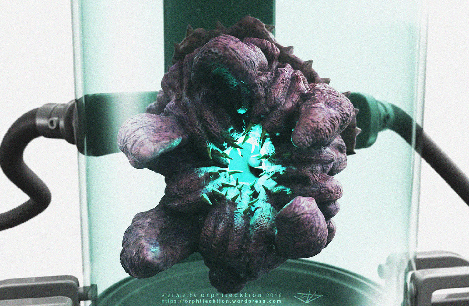 critterD1_cc_cropped.jpg