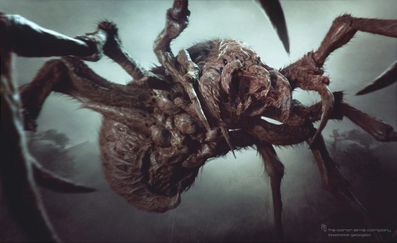 spider-(5)-8241938157.jpg