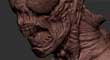 hum_zb_thumb.jpg