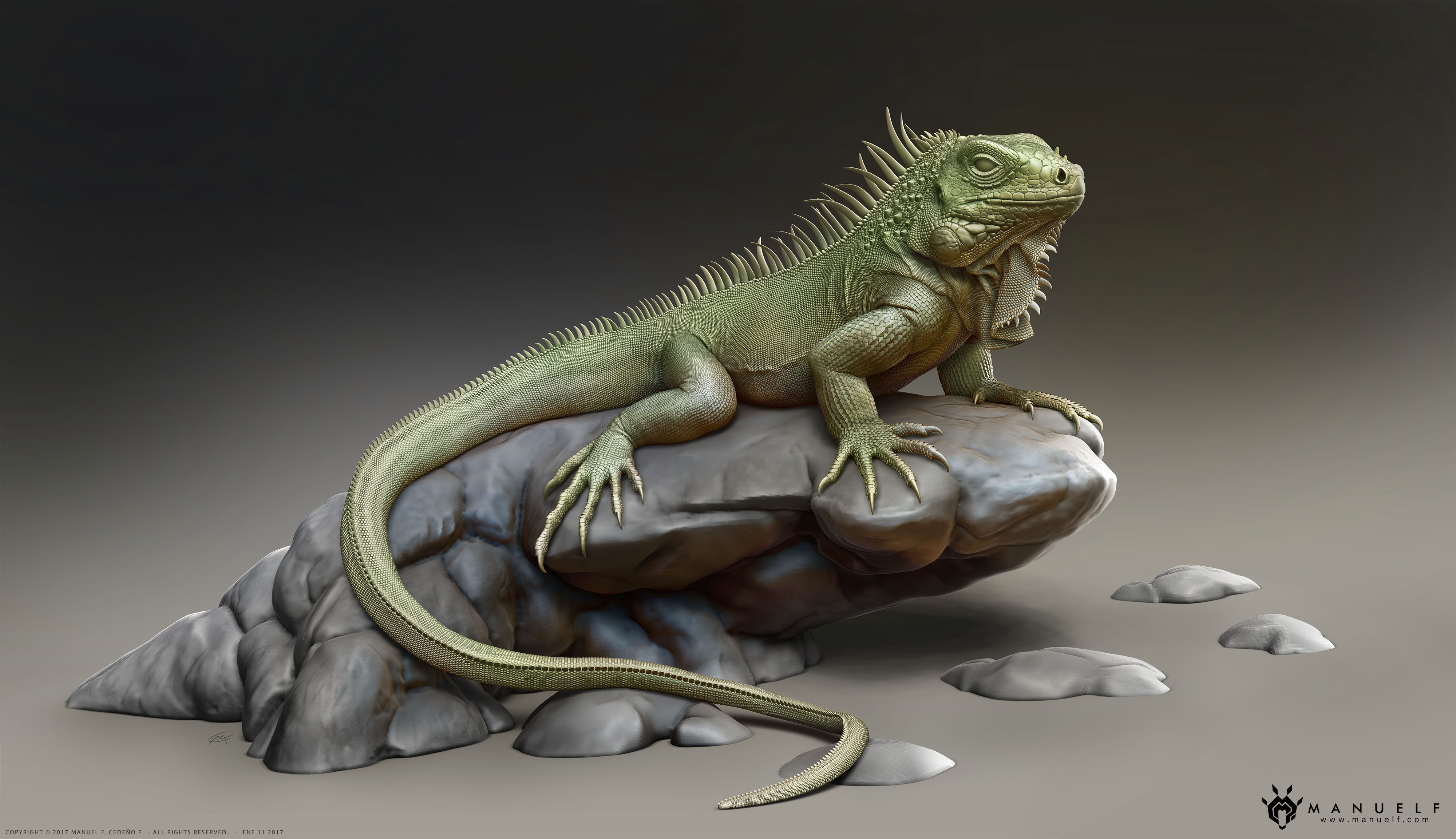 Manuelf_Iguana_MainBeauty_ZC_4000w.jpg