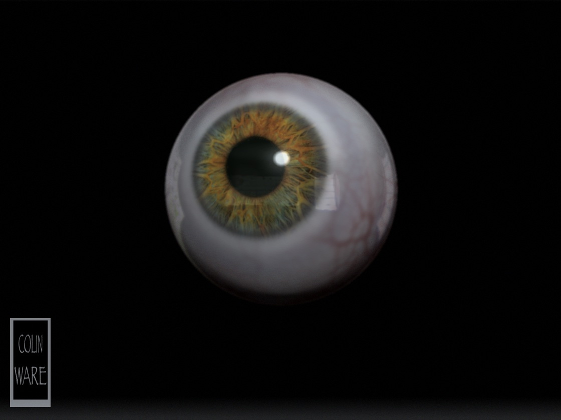new eye- colin ware 09.jpg