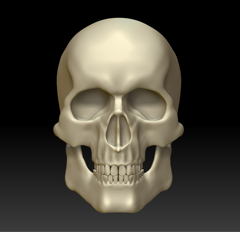 skull1.jpg
