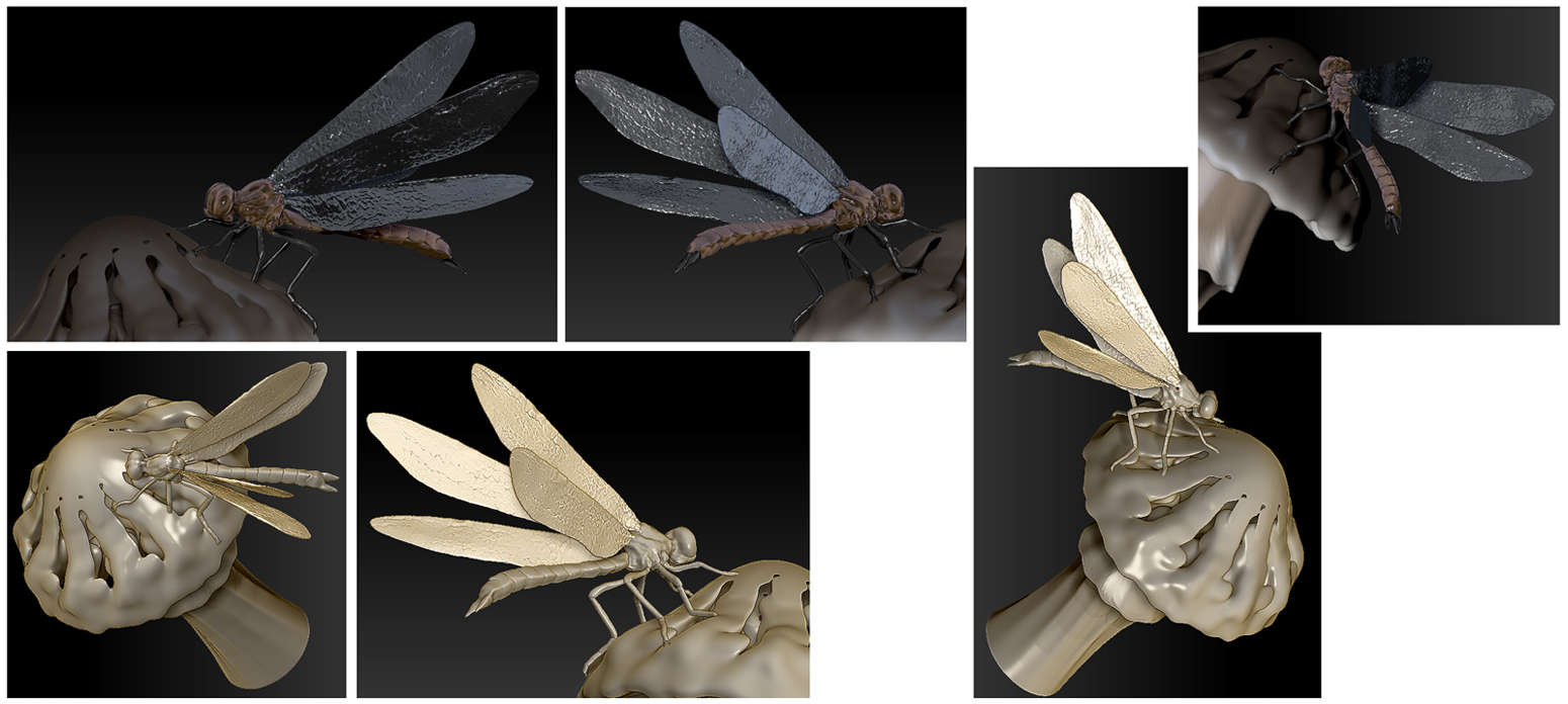 dragonfly9sml.jpg