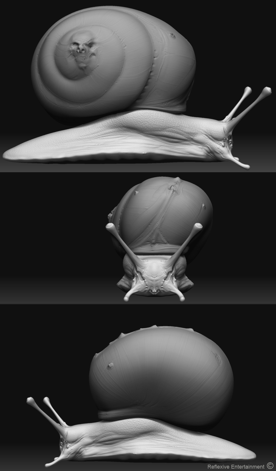 Snail.jpg