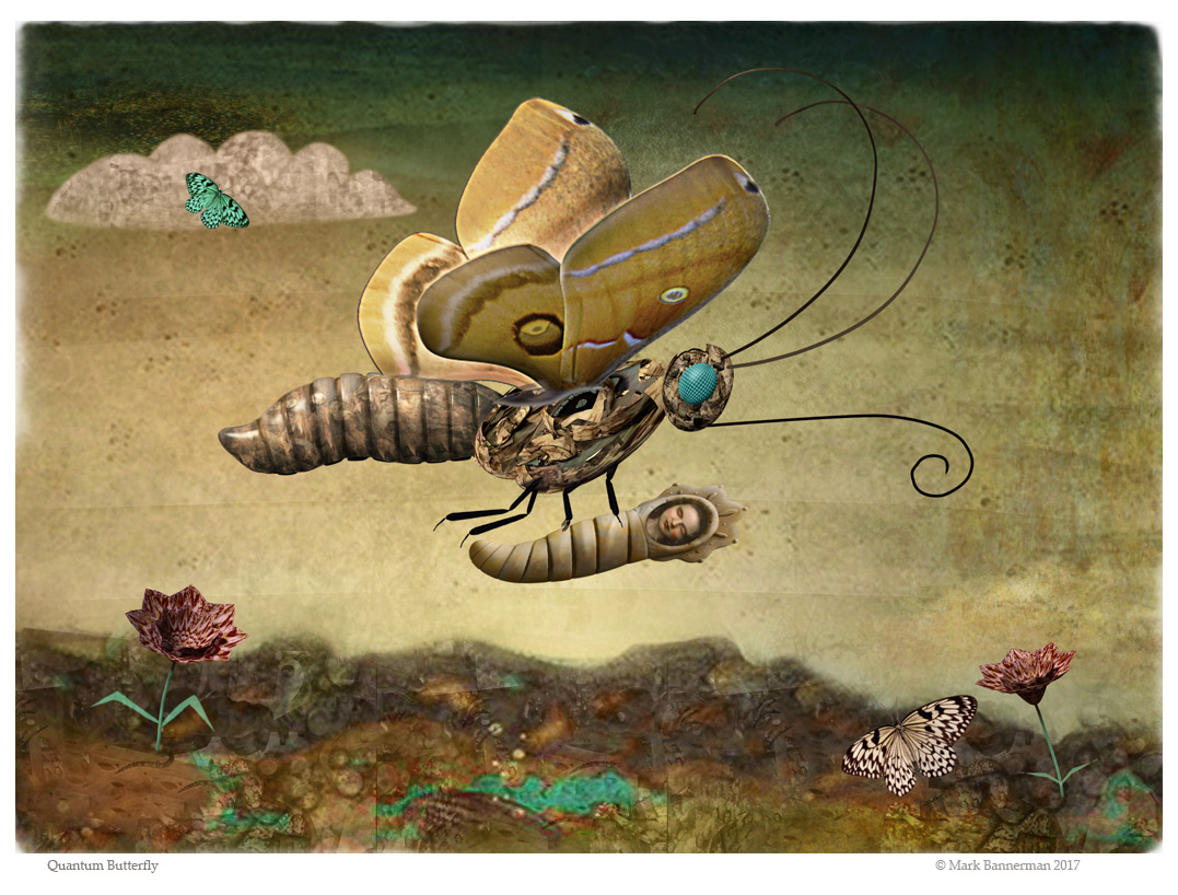 quantum-butterfly_MBannerman.jpg