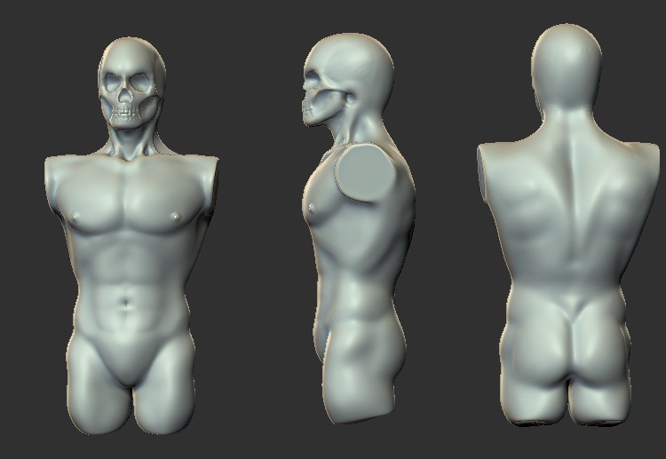 skull torso_2.jpg