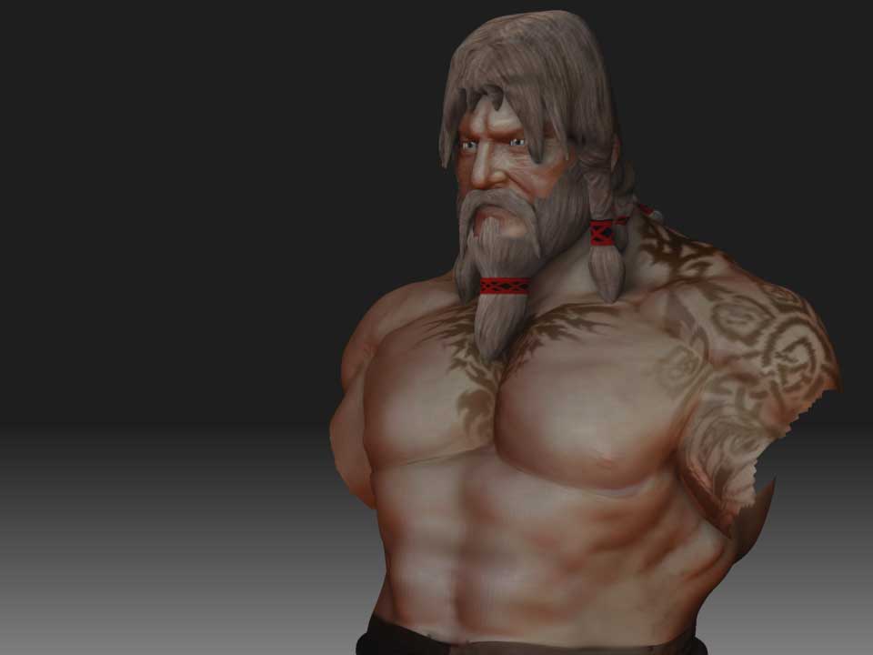 Viking_torso_2.jpg