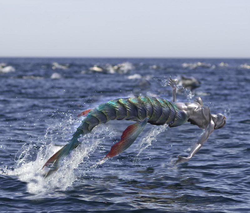 Dolphins_06 copymedium.jpg
