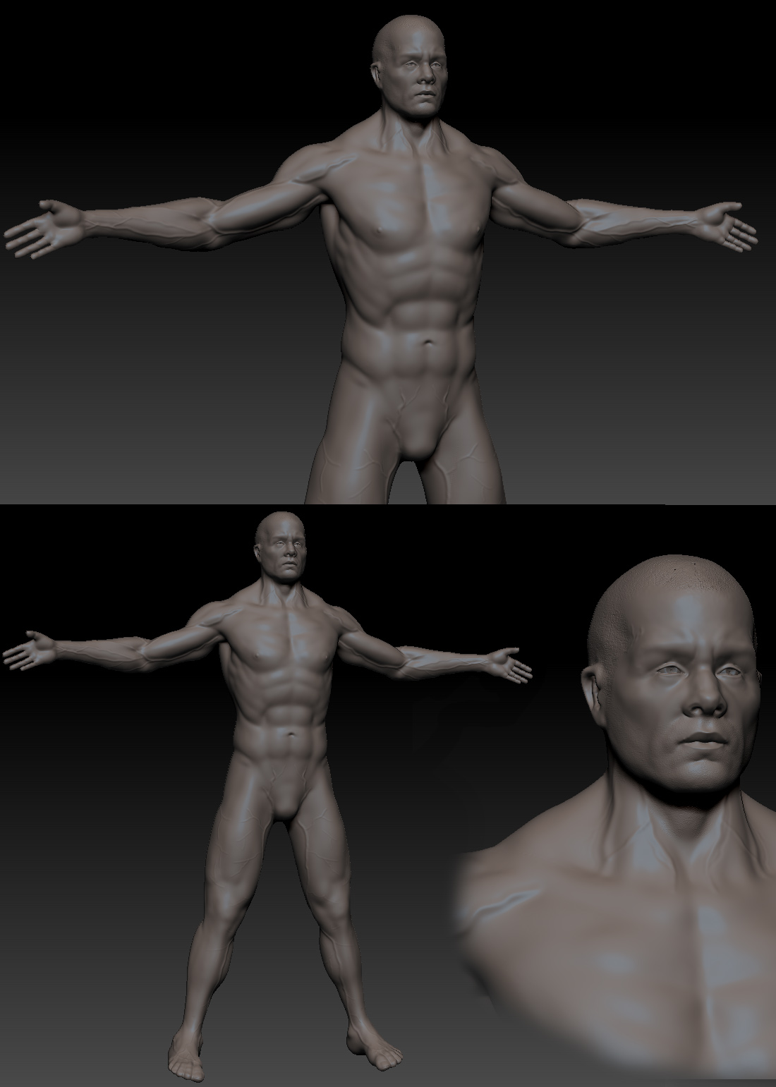 vein-sculpt-study.JPG