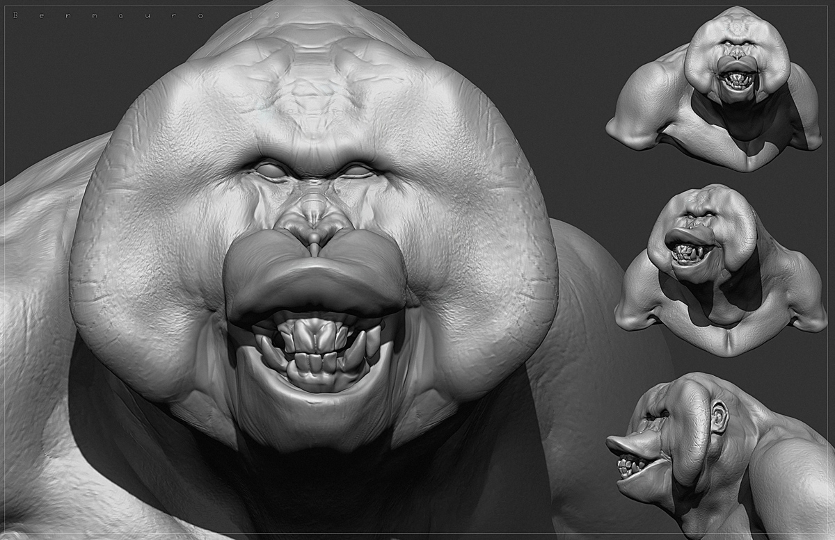 Primate_08_BM.jpg