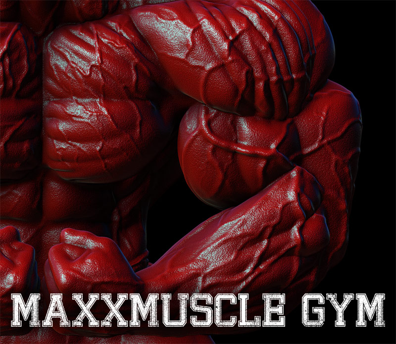 maxxmuscle-24.jpg