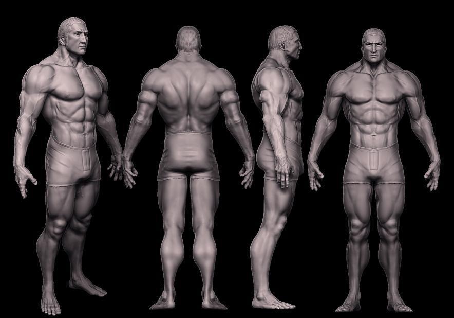Wip.jpg