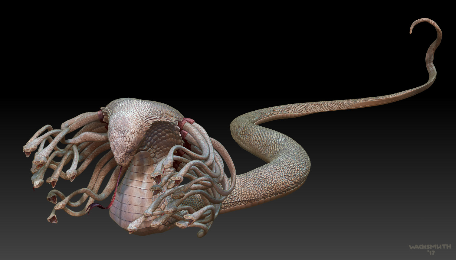 hydra_view_03_4web.jpg