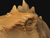 ZBC_THUMB.jpg