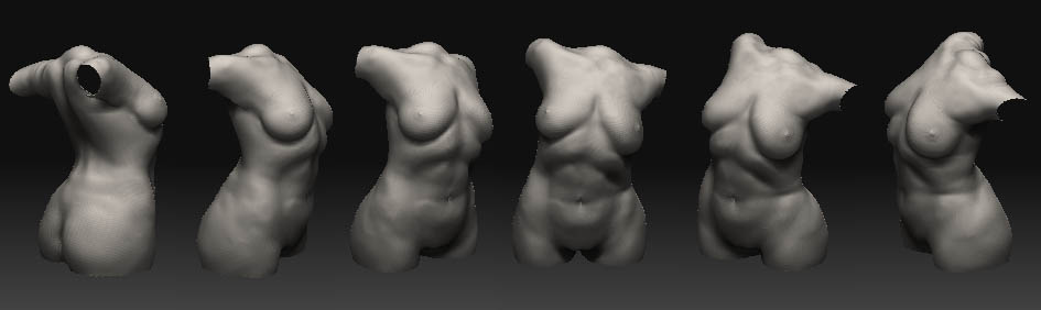torso2.jpg