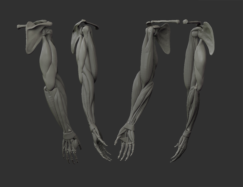 ArmWIP_001.jpg