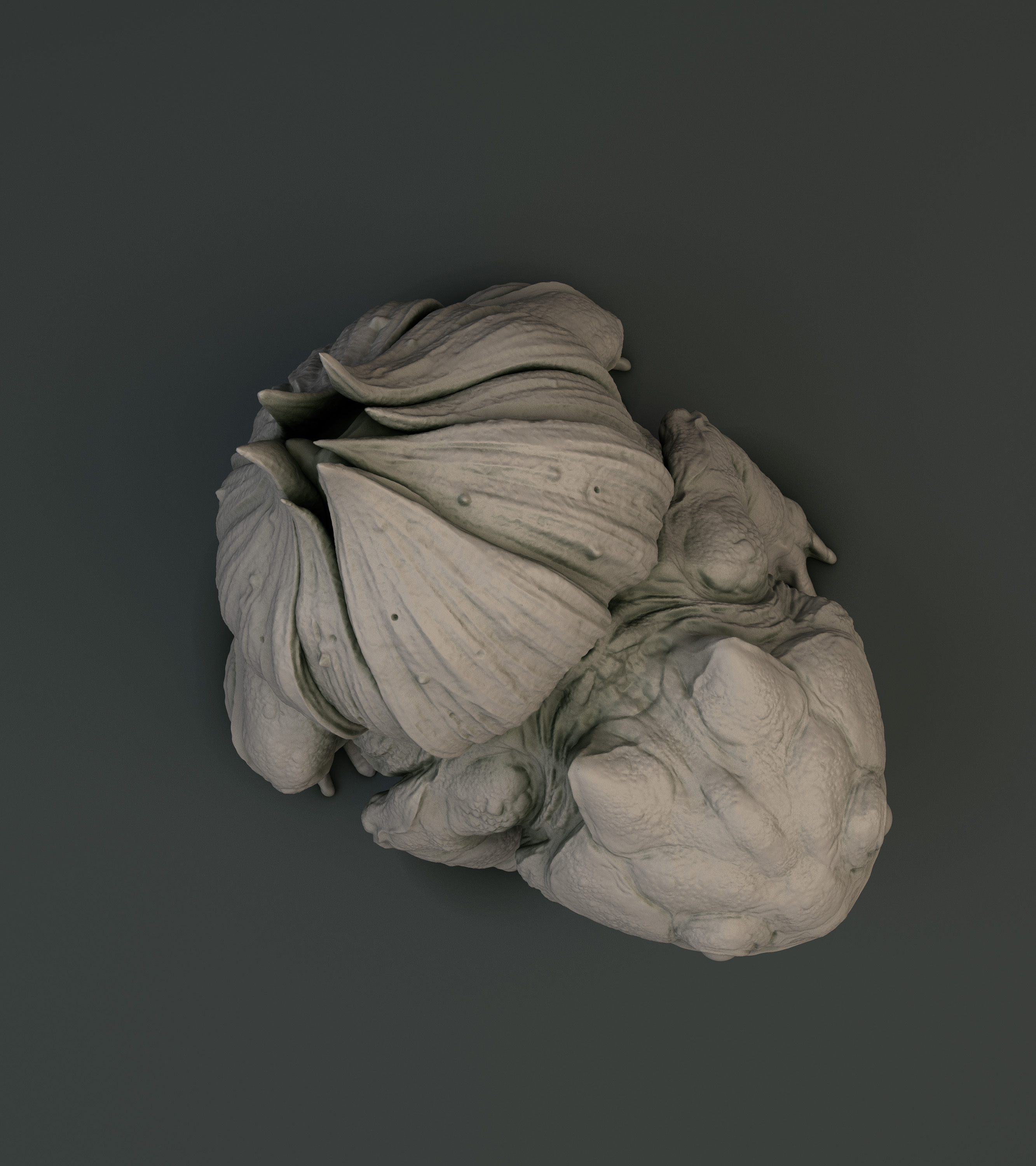 Bulba_04zbc.jpg