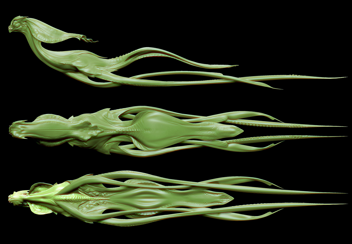 Body_05.jpg