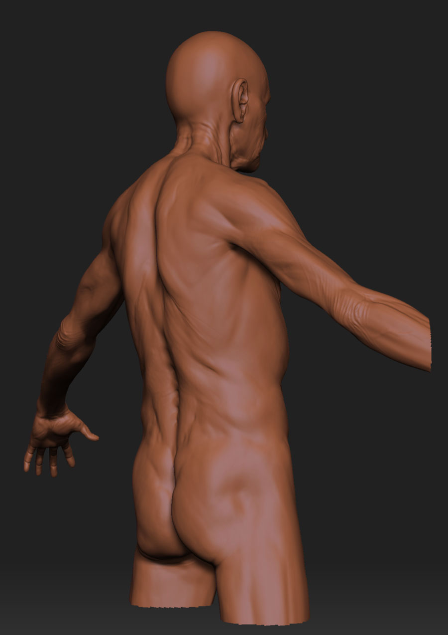 body_exercise_27
