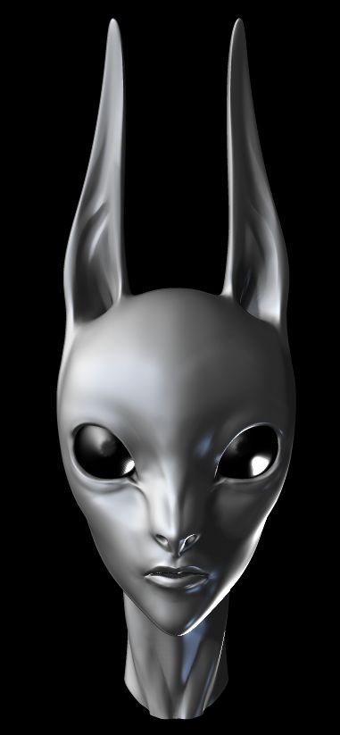 test head.jpg