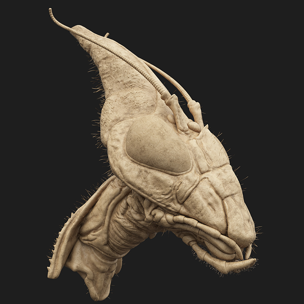 Idolomantis-Diabolica_Clay_01.jpg