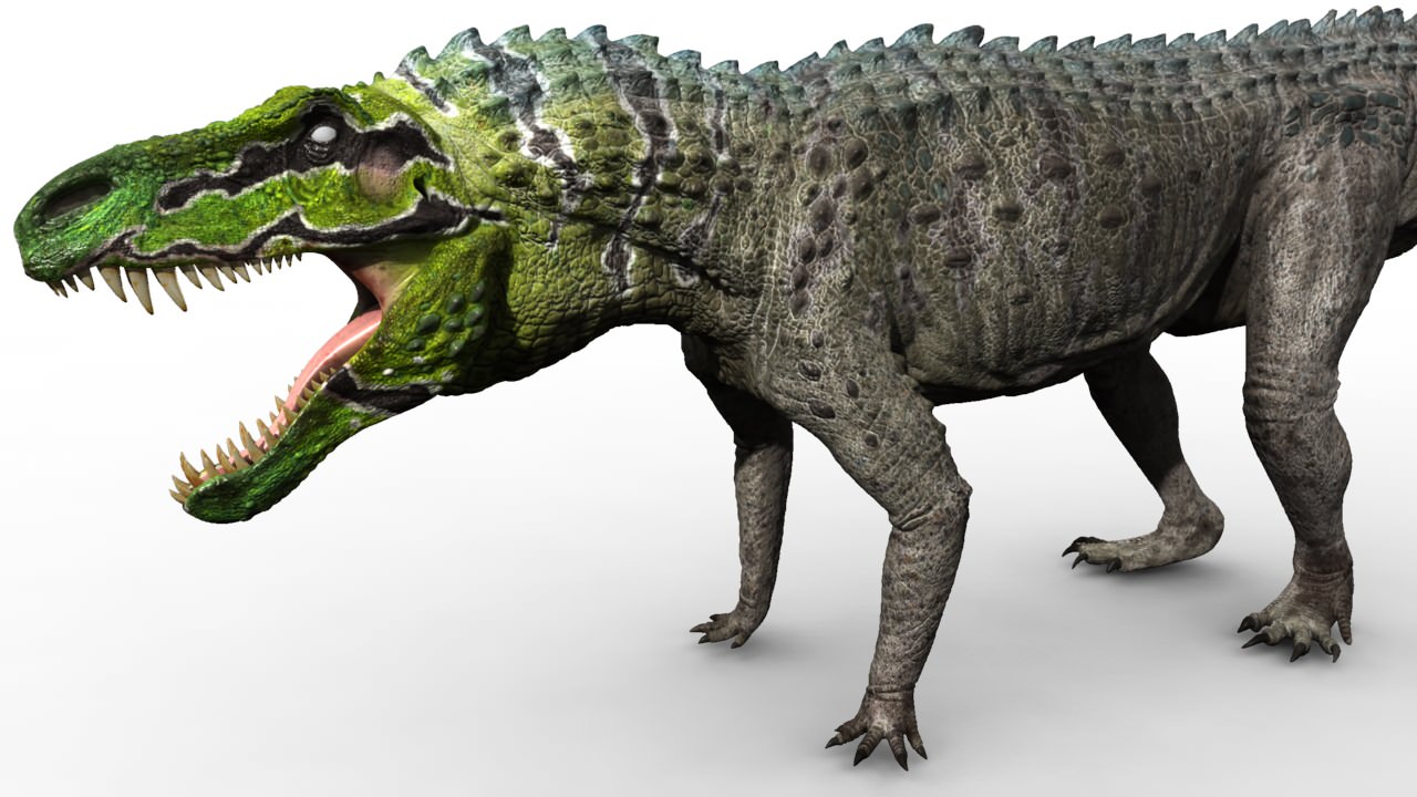 saurosuchus_wip_lrg.jpg
