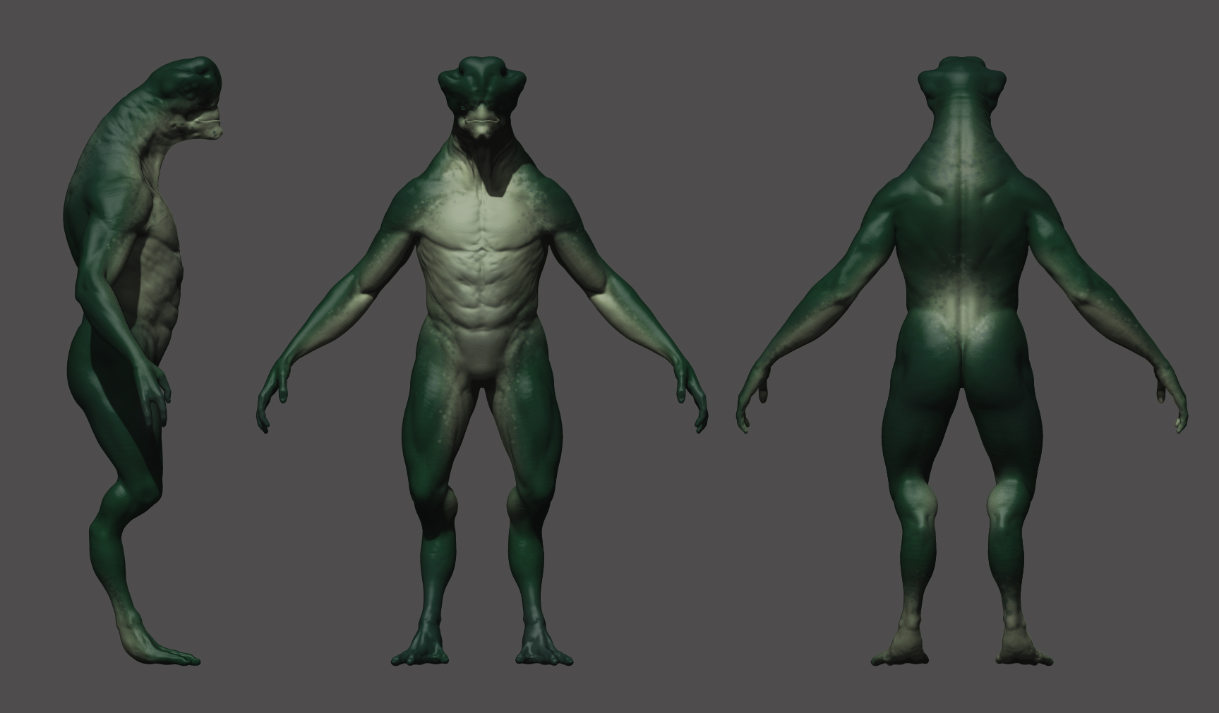 Orthoviews_paint.jpg