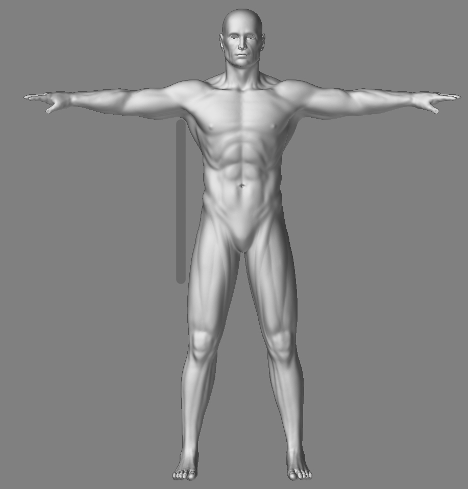 MaleCharacterFront_05_ArmLength.jpg