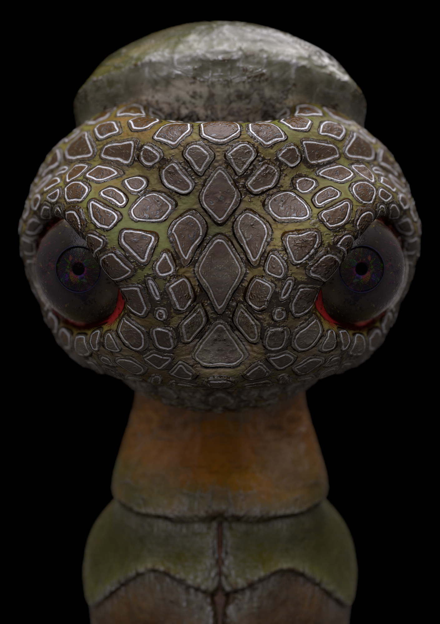 turtle_dragon_02.jpg