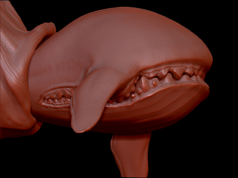 ZBrush copy.jpg