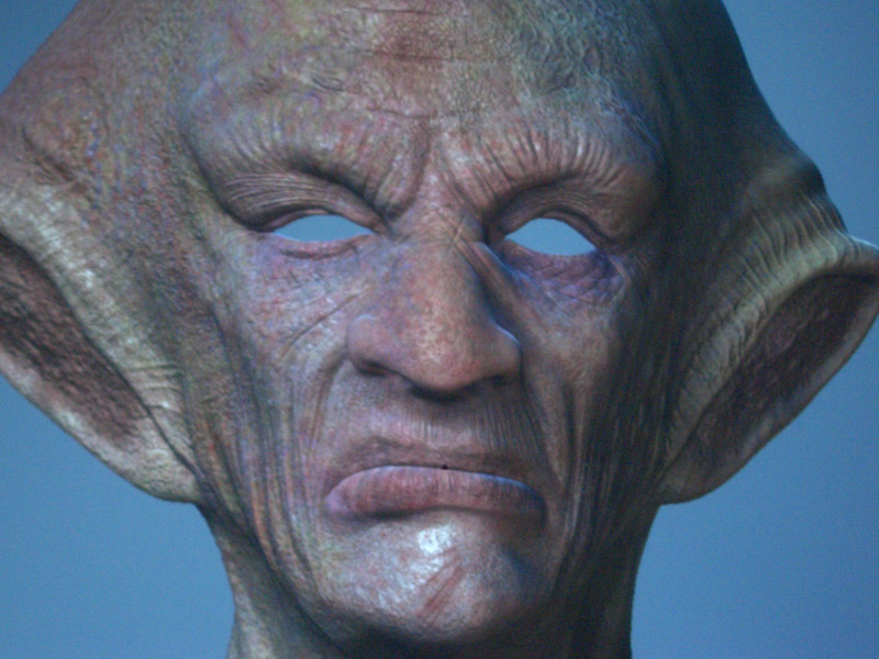 head.jpg