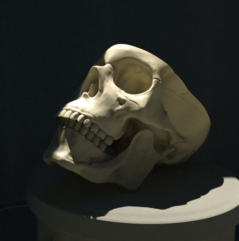 keller_ZSummit_skull.jpg