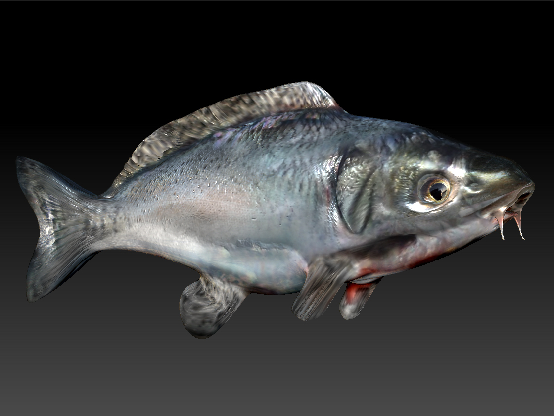 Fishofdoom.jpg